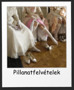 Pillanatfelv�telek
